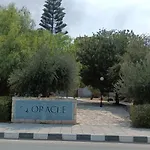 Oracle Exclusive Alena 4 Paphos